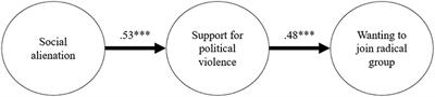 Radicalization Leading to Violence: A Test of the 3N Model